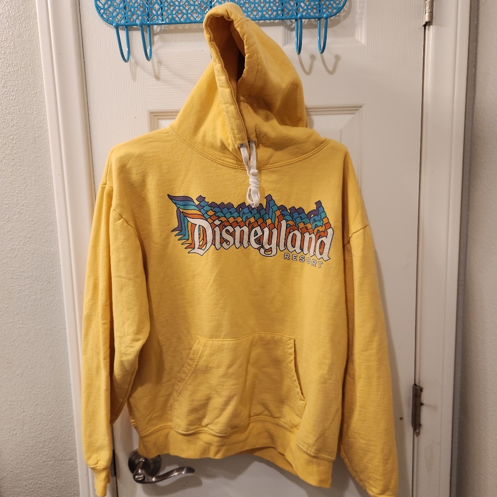Disneyland resorts sweatshirt hoodie size m - Picture 1 of 5
